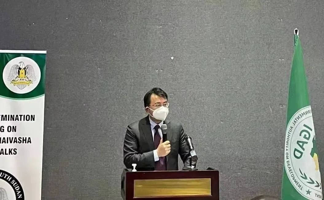 驻南苏丹大使华宁出席罗马纳瓦沙和平对话吹风会