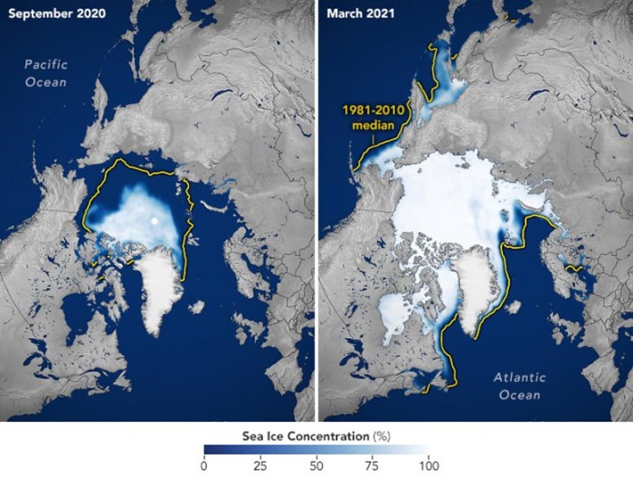 2020-2021年海冰的最高点和最低点：极地冰的下降趋势仍在继续