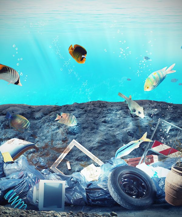 全球行动反对排核废水战韩国联合中美洲8国发表声明深表担忧