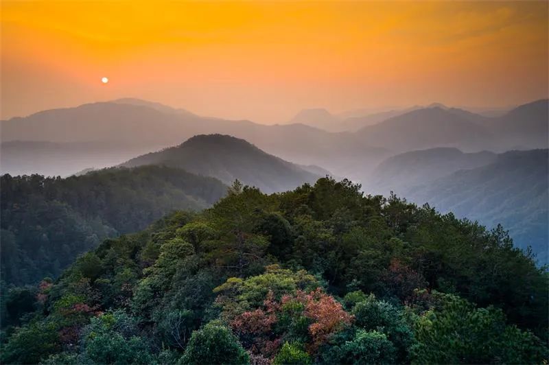 国家公园体制试点进展情况之八钱江源国家公园