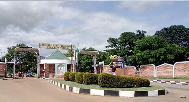 尼日利亚又一大学遭袭 学生被绑