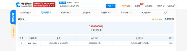 郑恺控股公司被强制执行3300万