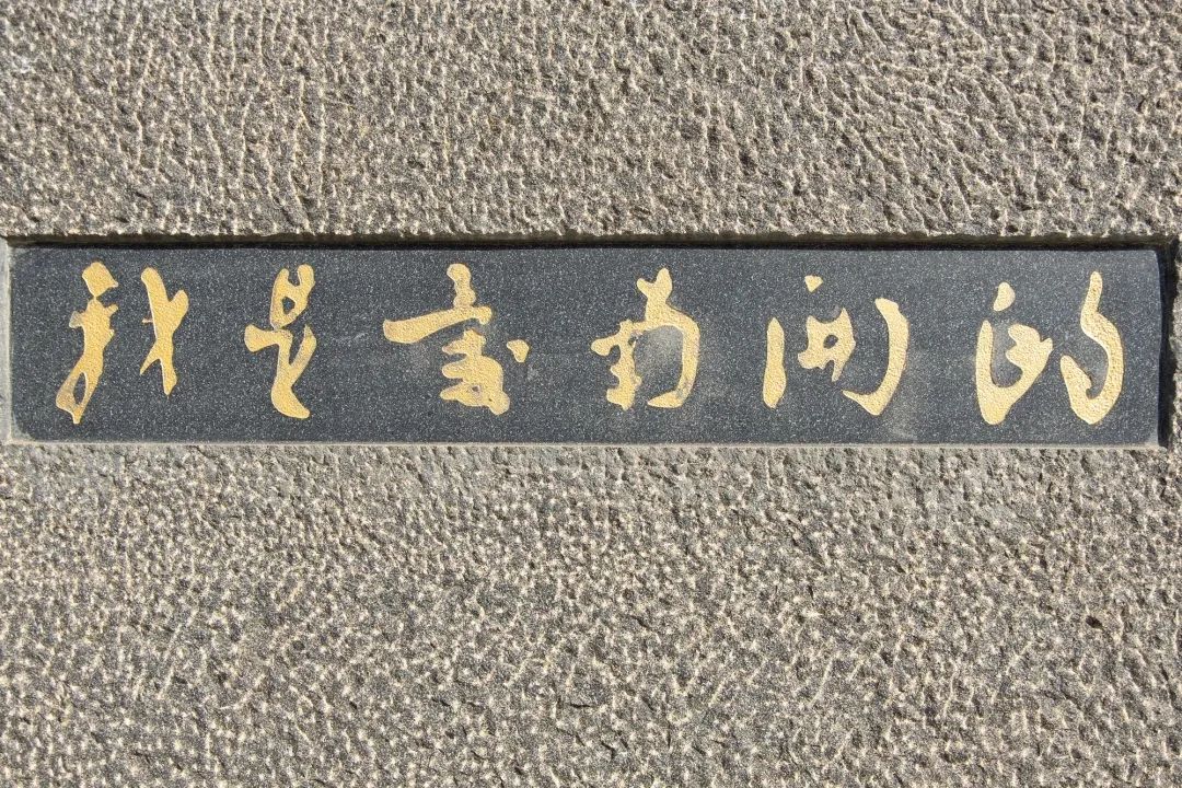 "我是爱南开的"02「点击下方空白,查看详细介绍」向左滑动,一探究竟"