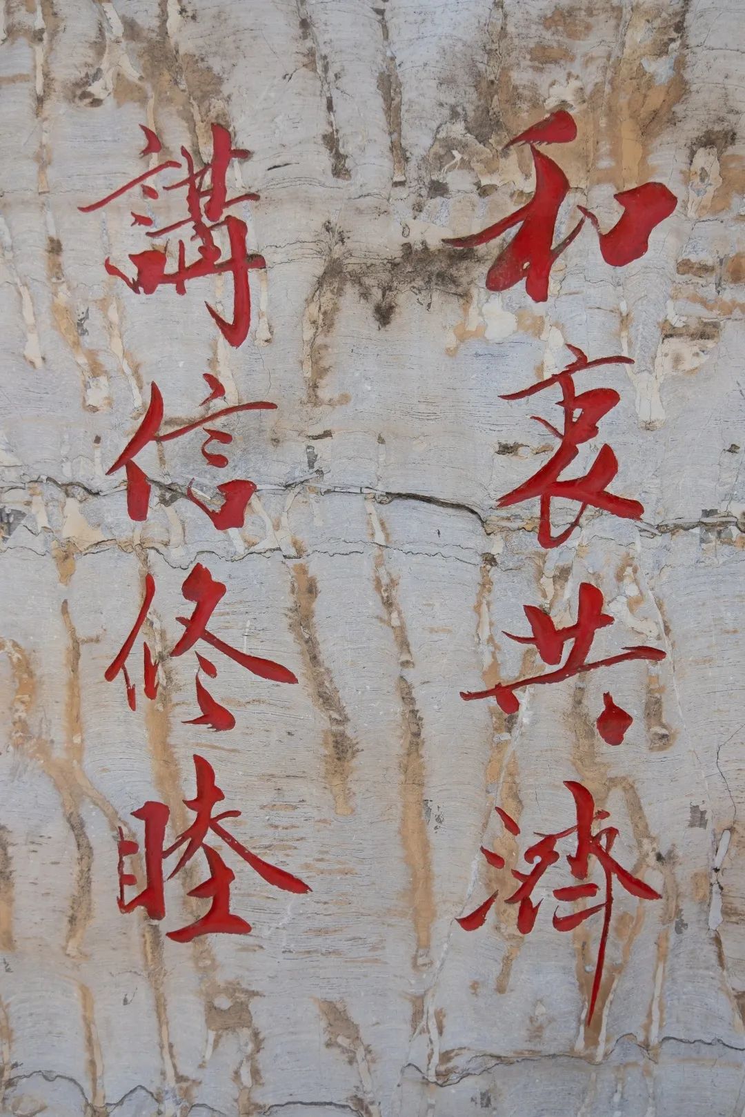 "和衷共济,讲信修睦"04「点击下方空白,查看详细介绍」向左滑动,一探