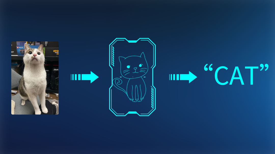 点赞这位成电本科生让图像识别更准更快