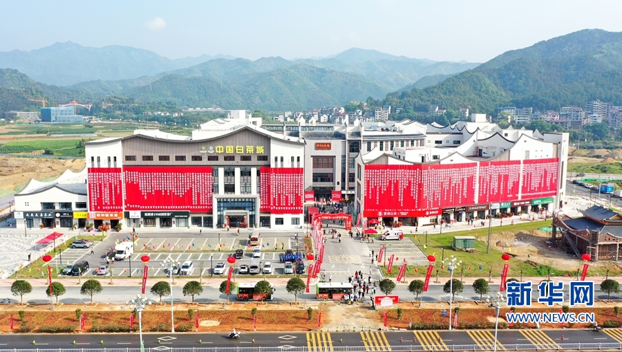 福建政和中国白茶城启动运营