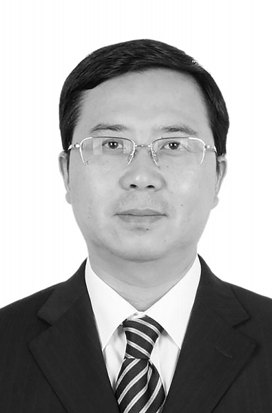 发挥一体化优势提升全产业链竞争力