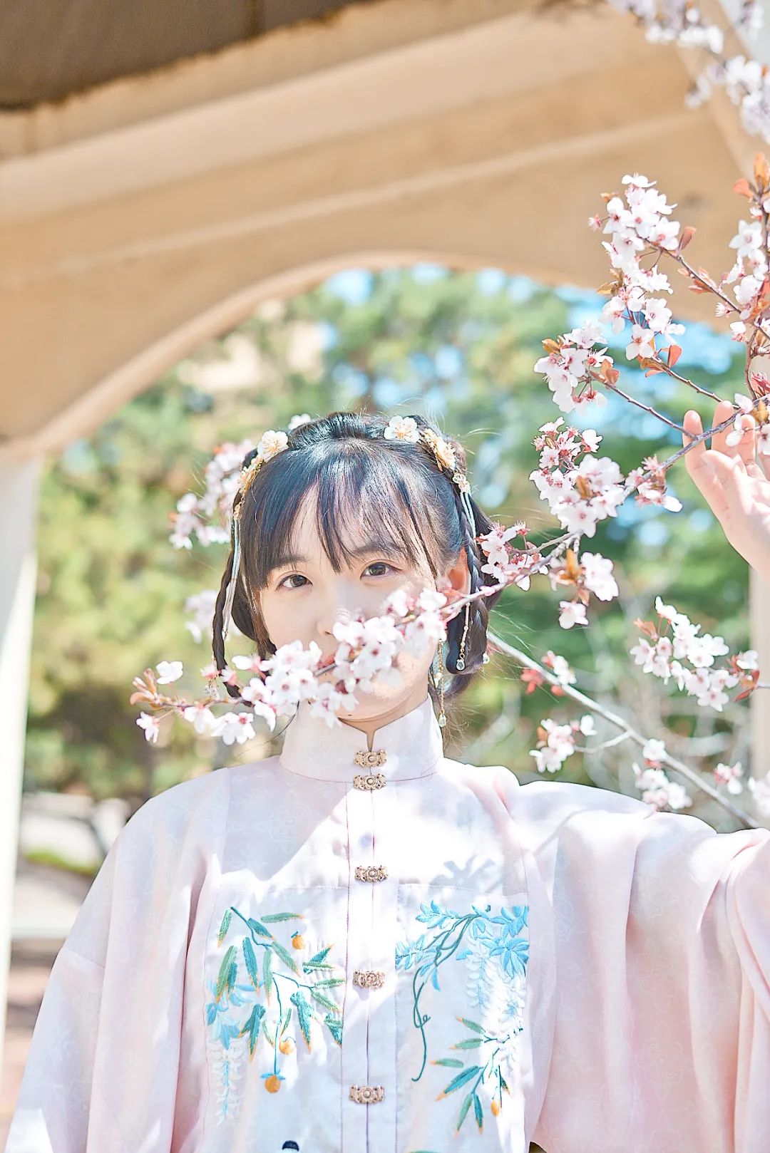 各美其美美美与共当青大樱花邂逅汉服古风