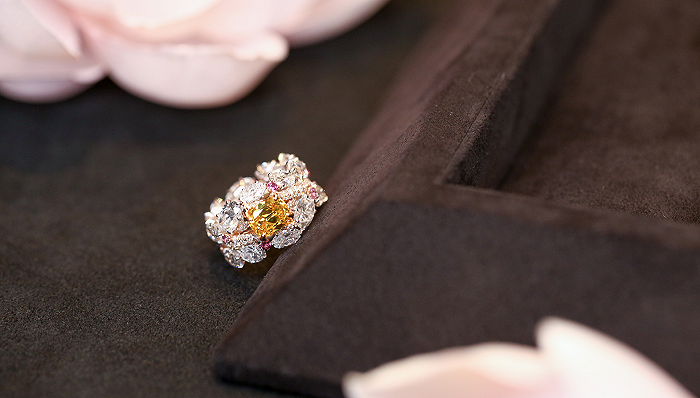 圣罗兰2021冬季女装系列锋芒毕露cindychao传奇粉钻系列兼具艺术与