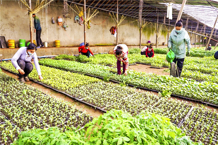 镜头抢抓农时播种希望