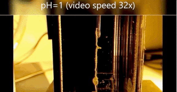 ▲聚酯-聚酰胺复合纤维中螺旋解除超螺旋的过程