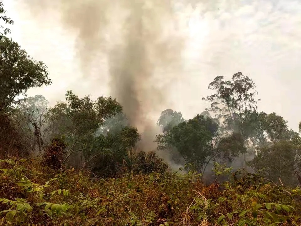 缅甸腊戌发生山林火灾 暂无人员伤亡报告