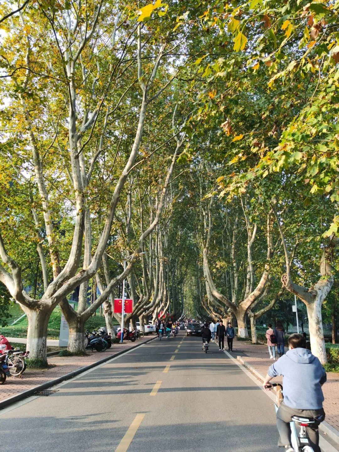 再走一次吧那条三号路