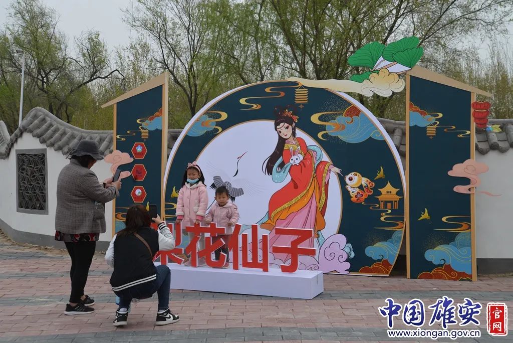 快来打卡雄安新区雄州梨湾梨花游园会开幕