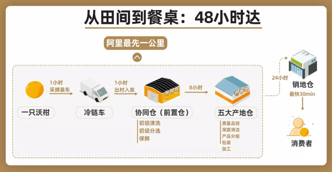 淘特app下载安装