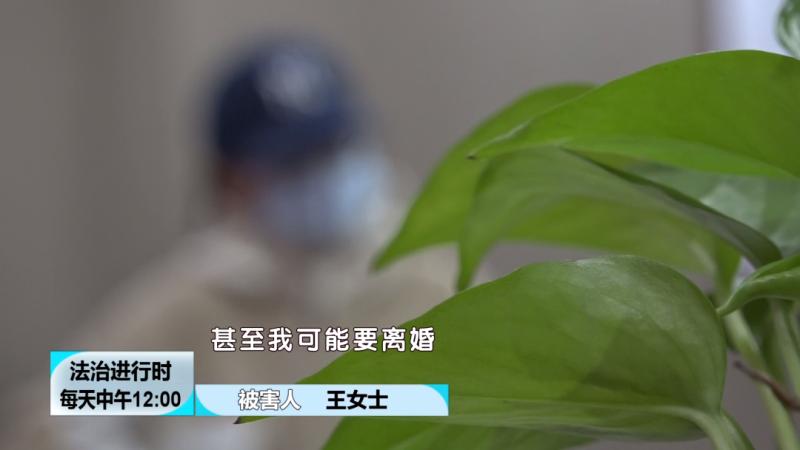 北京大案纪实诈骗110000000元的南城房姐覆灭记