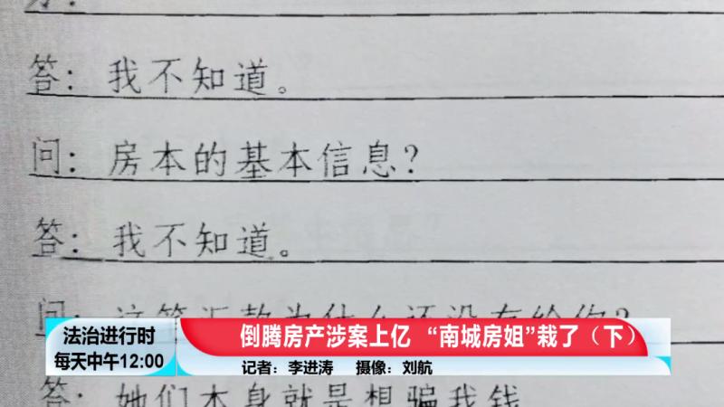 北京大案纪实诈骗110000000元的南城房姐覆灭记