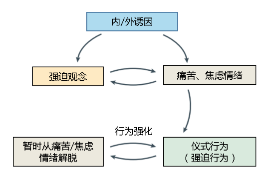 强迫症的理论基础