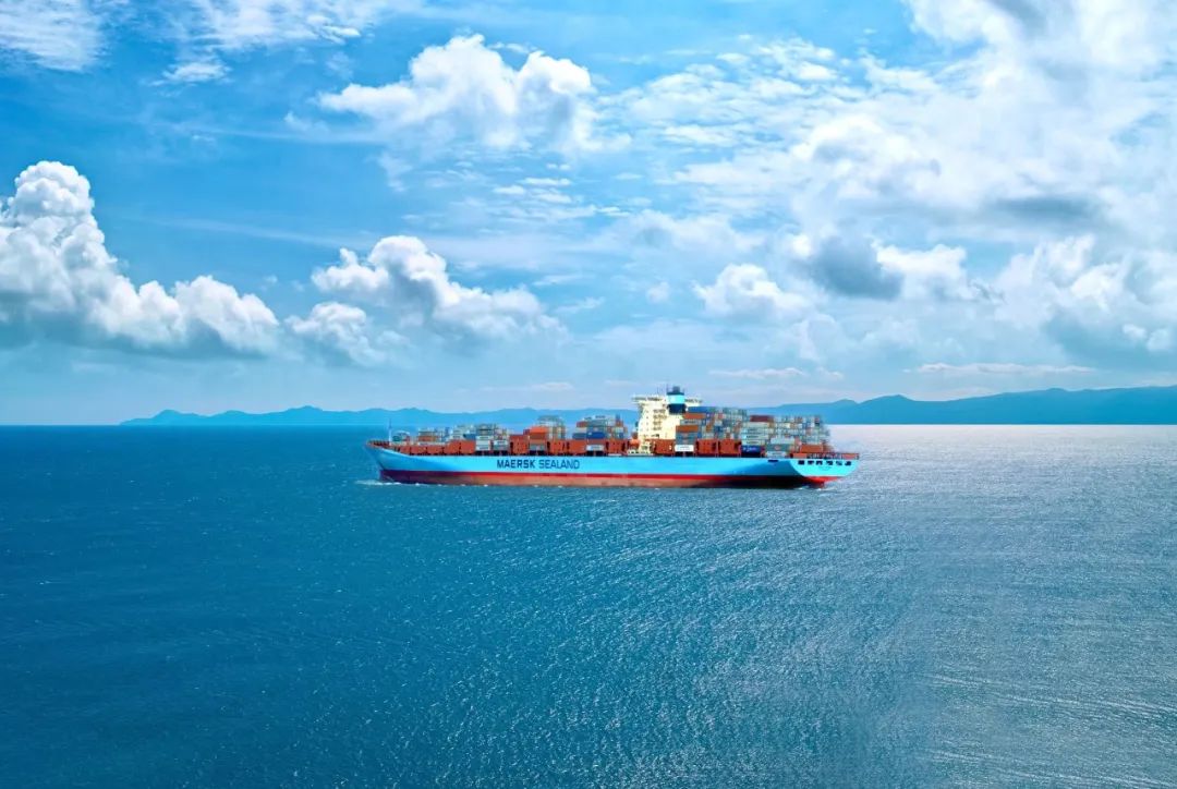 小数点没打错航运巨头一季度大赚154亿28万股东已意念涨停