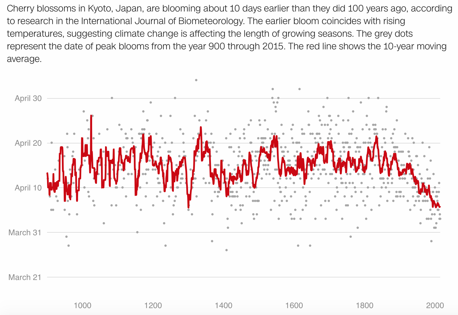 △千年来，日本京都樱花“峰值”日的波动深受气候变化的影响。（图片来源：CNN/《国际生物气象学杂志》）