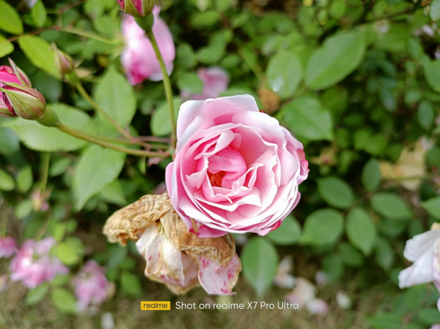 三星x7为什么打不开了realme真我X7 Pro至尊版评测：同价位首款曲面屏 视觉体验更出众_https://www.jmylbn.com_新闻资讯_第19张