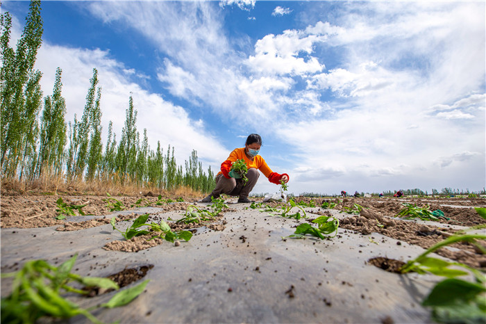 镜头致敬最美劳动者