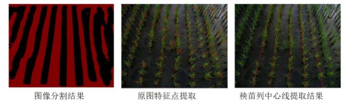 苏州博田基于飞桨图像分割套件开发的水稻秧苗识别