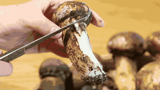 松茸不能碰水，轻轻刮掉表面即可