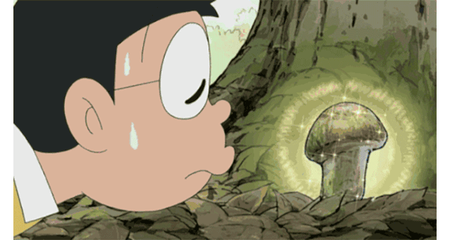 松茸散发着独特的香气