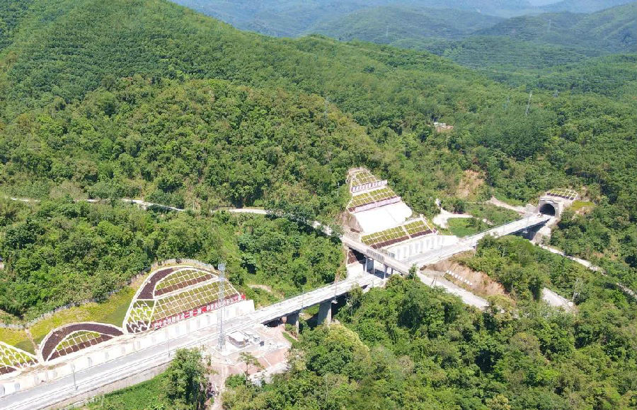 中老铁路玉磨段曼木树隧道贯通_手机新浪网