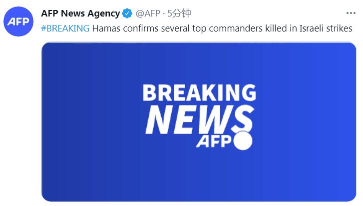 快讯！外媒：哈马斯数名高级指挥官在以色列空袭中丧生