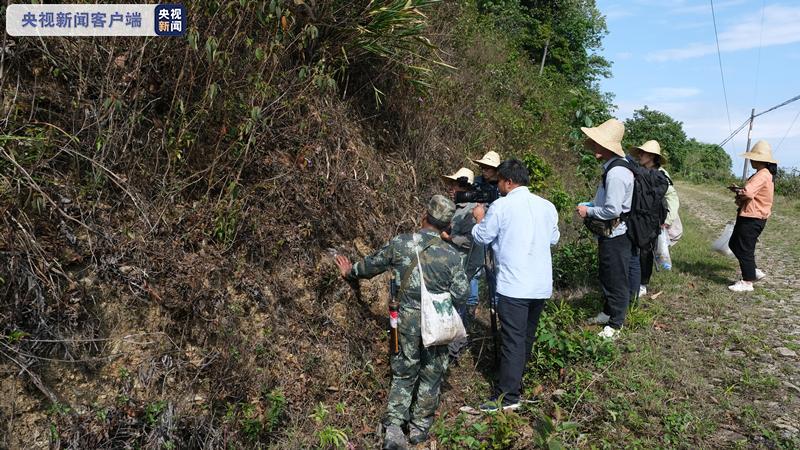 南滚河国家级自然保护区首次发现捕鸟蛛