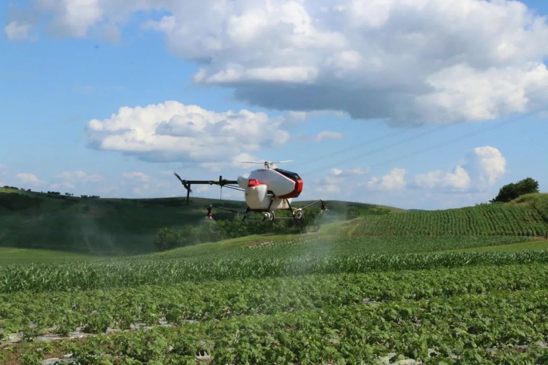 沈阳无距科技有限公司的x50农业植保无人直升机在悬停喷洒农药.