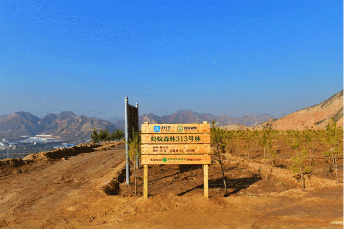 蚂蚁森林声明树木包括碳汇是纯公益捐赠从未参与碳汇交易