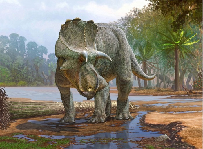 科学家们刚刚意识到15年前发现的恐龙化石的特殊之处