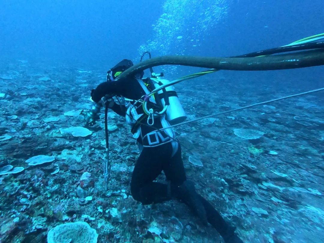 潜水服的包裹性极强炫酷的配饰让你不露脸也很帅飞行服的出镜率超高每