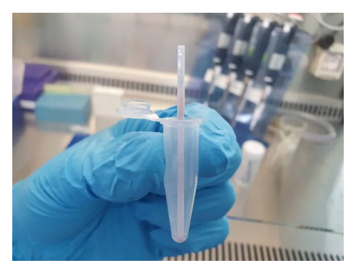 科学家开发DNA检测工具  检查食品中是否含有被禁止的肉类