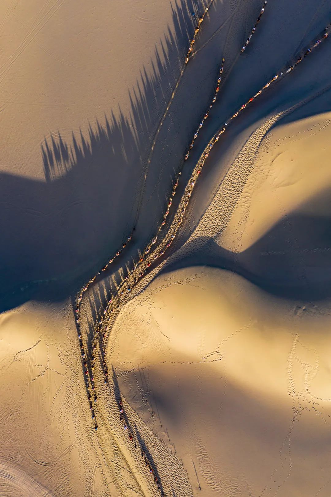 ▲ 鸣沙山的骆驼队，埋着千年商旅的行迹。摄影/徐海洋
