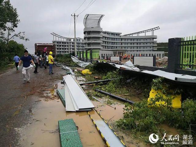 武汉蔡甸9级大风灾后现场。人民网 王郭骥摄