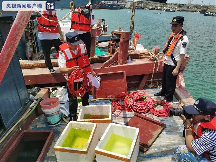 2021年粤闽海洋伏季休渔首次联合执法行动 一举查获118艘违规渔船