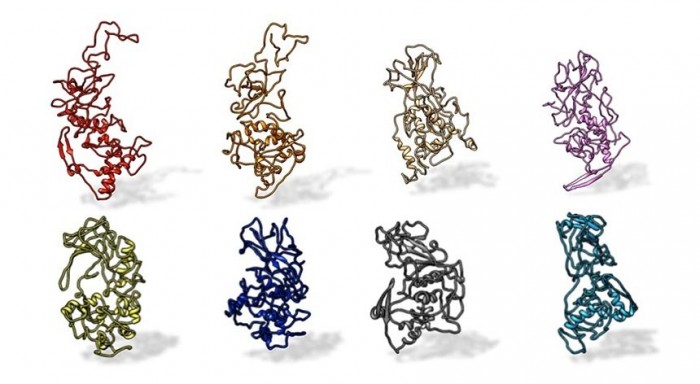 COVID-19病毒各变种的N蛋白抗体结合点被认为相当稳定 未来可用于防治