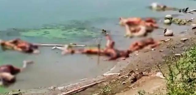 存在新冠死者！恒河出现超1000具浮尸，印度政府终于不再嘴硬了休闲区蓝鸢梦想 - Www.slyday.coM