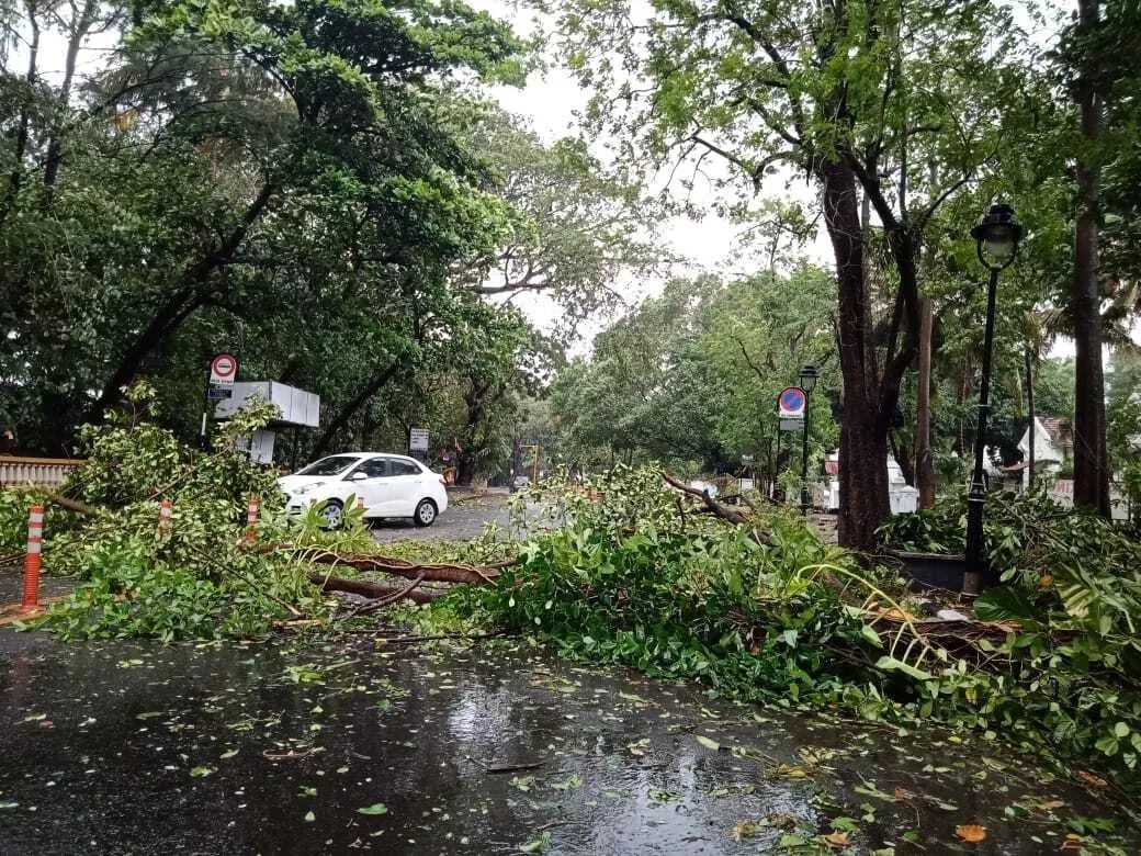 热带气旋侵袭印度已致至少6人死亡，近15万人撤离