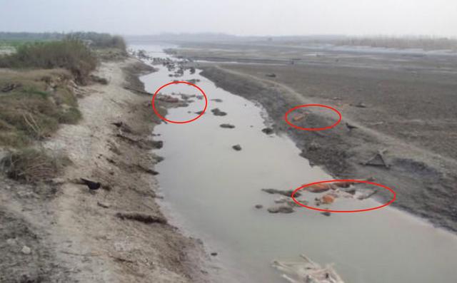 存在新冠死者！恒河出现超1000具浮尸，印度政府终于不再嘴硬了休闲区蓝鸢梦想 - Www.slyday.coM