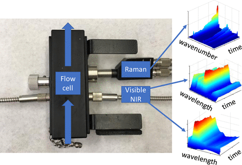 研究配图：拉曼光谱传感器结构与功能示意