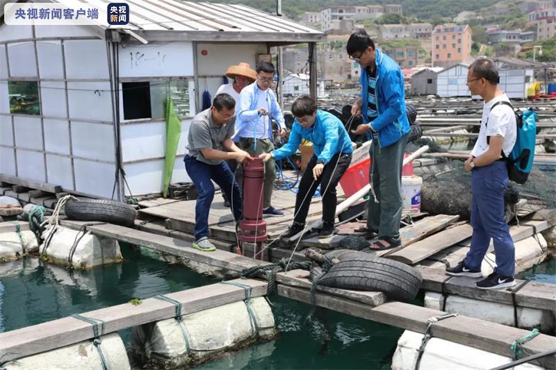 助力“蓝眼泪”现象研究 新型浮游生物水下成像仪在平潭测试