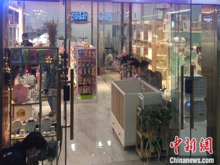 北京市一家宠物兔寄养店。 中新网 左宇坤 摄