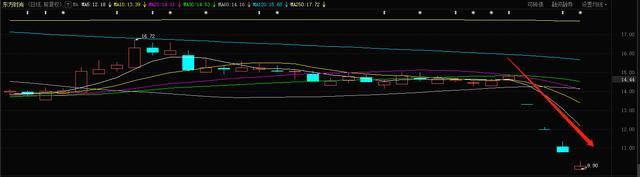 “驾校第一股”东方时尚4天暴跌31%：股民人均亏26万、公募基金踩雷