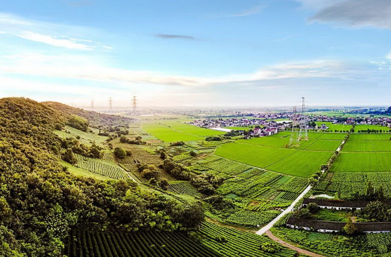 图为嘉兴市海盐县通元镇雪水港村远景.崔慧佳 摄