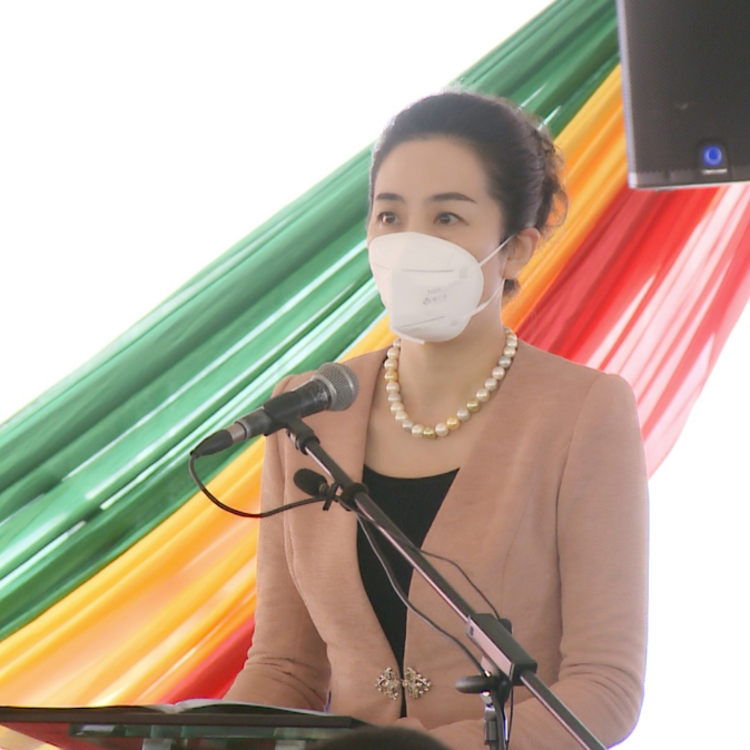 信息通讯部长穆斯维尔,科技部和新闻部常秘,驻津巴布韦大使夫人王薇